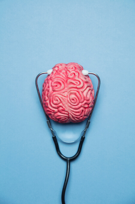 Brain