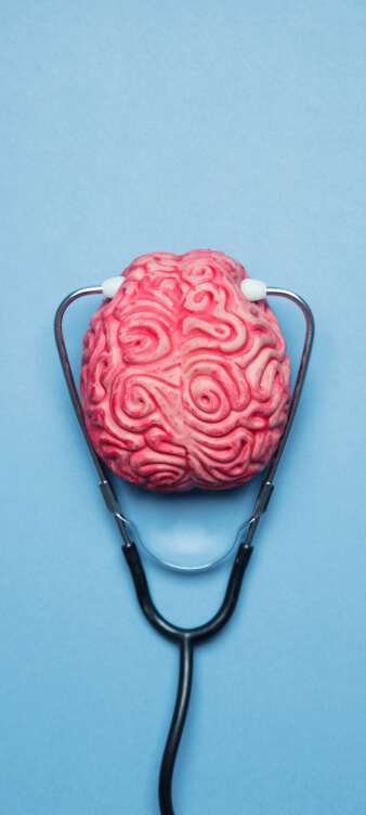 Brain